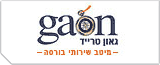 גאון טרייד